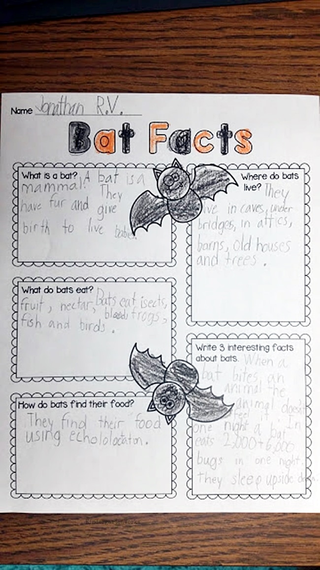 Learning About Bats Graphic Organizer and 3 Videos - Teach Junkie